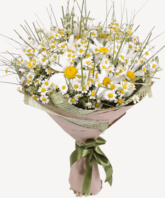 Букет «Лес»